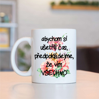 Abychom si ušetřili čas,..
